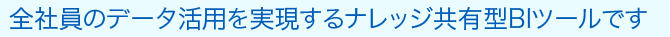 全社員のデータ活用を実現するナレッジ共有型BIツールです